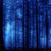 Forest Ghost 