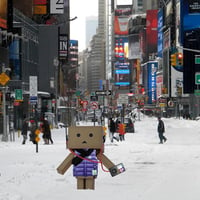 Danbo in Times Square, New Years Day