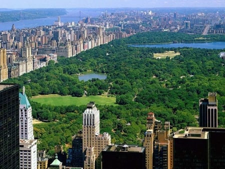 Central Park New York City