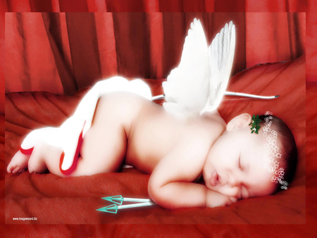 Merry Christmas to my angel friend Alexandra Boyer {angelove) - picture, sleeping, angel, 08, 2011, 12