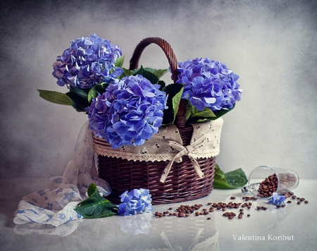 Still life hydrangea. - basket, flower, still life, hydrangea