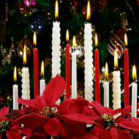 Merry Christmas to my awesome friend  mrs Lena (Applebloom)