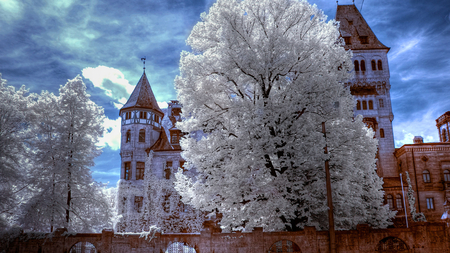 Bran Castle, Romania - gate, romania, white bloomed trees, castle, sky