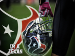 Houston Texans 2