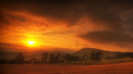 Sunrise over the Plateau - bright, trees, beautiful, sun, golden, mountains, plateau, sunrise