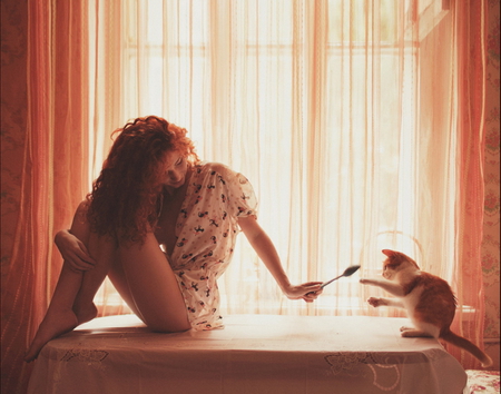 My cat - morning, window, cat, girl, photography, room, sweet