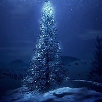 Magical Night