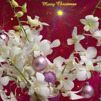 Merry Christmas to my friend Sherry Ann (SherryAnn1971)