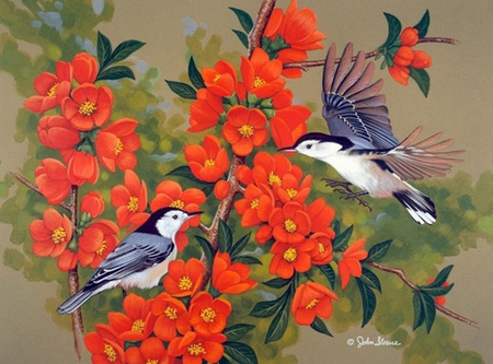 By John Sloane - bird, animal, painting, john sloane, flower, art