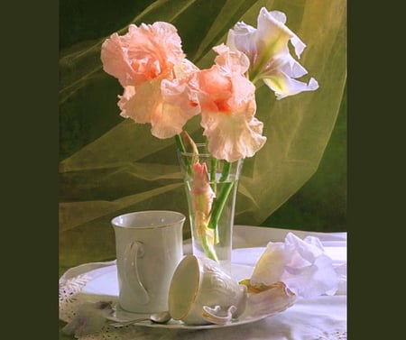 Spring blooms - coral, light, flowers, vase, cup