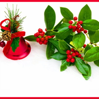 Holly & berries