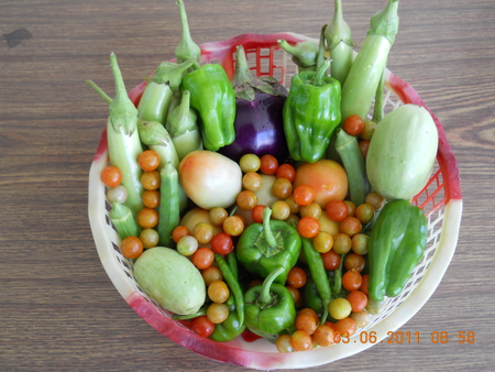 Fruits of labour. - brinjal, tomato, mickey, capsicum