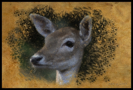 For all my friends on DN - wishes, nature, deer, photoshop, friends, photo, animals