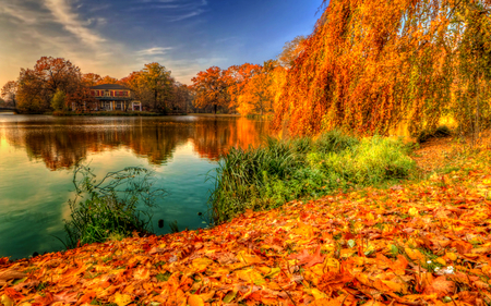 Peaceful Place - sunny, autumn colors, splendor, landscape, grass, reflection, leaves, view, lake, houses, sky, clouds, house, carpet, trees, water, beautiful, beauty, colors, lovely, tree, carpet of leaves, fall, colorful, nature, green, autumn, autumn leaves, sunny autumn, peaceful