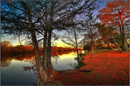 Autumn-HDR - nice, beauty, season, autumn, sky, trees, riverbank, photography, water, great, sunset, amazing, view, pretty, reflection, cool, walk, river, hdr, tree, landscape, park, lovely, nature, beautiful, leaves, scenery, colors