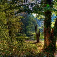 In the park...-HDR