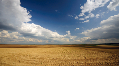 nature field - free, nature, land, deserts, field, sky