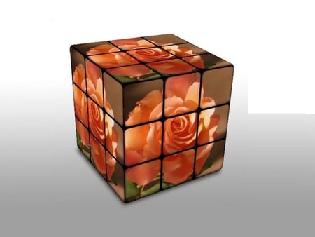 A Rose By Any Other Name - rubic, cube, rose, square