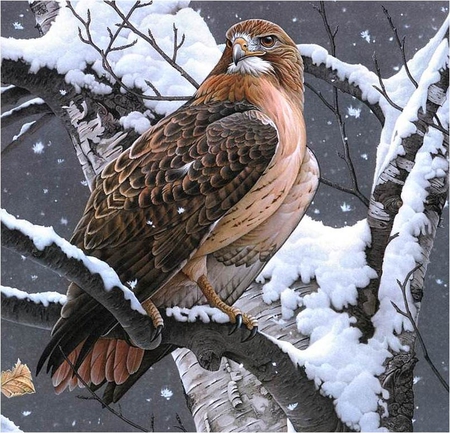 Jerry Gadamus. Lady Hawk (DETAIL) - painting, art, jerry gadamus, eagle, winter