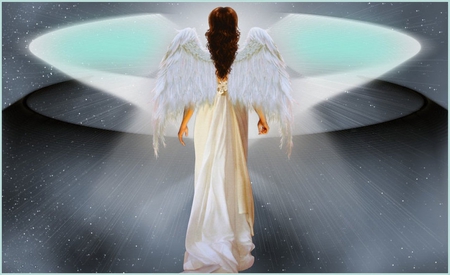 ANGEL - angel, female, stars, wings