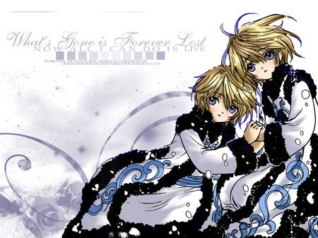 Fay and Yuui - twin, tsubasa, yuui, clamp, blue, fay