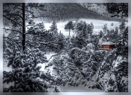 The Brown Cabin - trees, winter, cabin, snow, sharp, dark, clear, cold, black and white