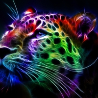 RAINBOW LEOPARD