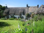 cottage garden