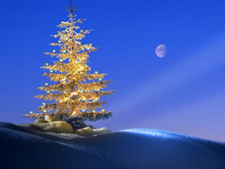 Christmas tree - hill, moon, trees, wallpaper, moons, christmas, nature, blue, tree, new, lights