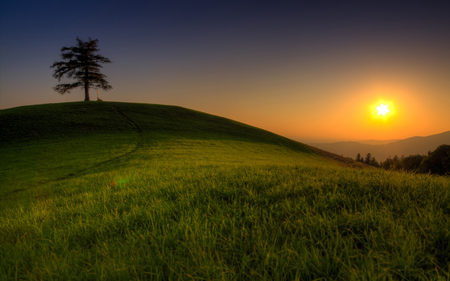 Beautiful View - view, mountain, sun, magic, beautiful, great, tree