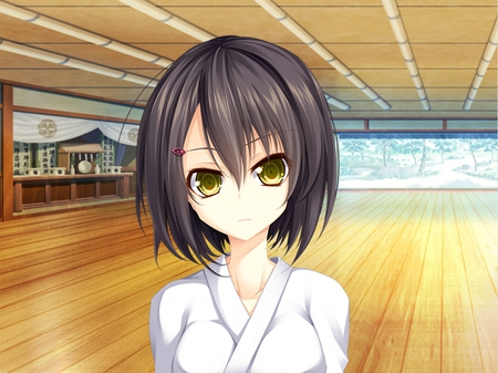 Dojo Teacher - ume, angry, game, yurikago yuri, girl, beauty, new, wall