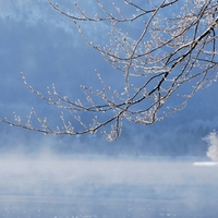 Foggy Winter Lake