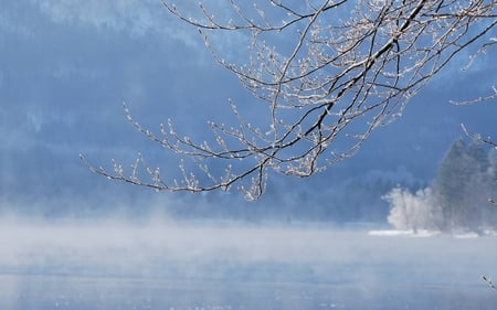 Foggy Winter Lake