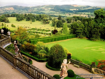 England Fairyland. - countryside, hill, tree, balcony, green