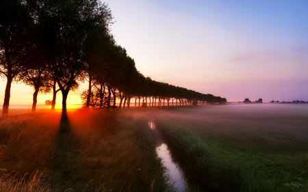 Sunrise - beauty, good morning, sky, trees, peaceful, sun, water, colorful, foggy, mist, view, clouds, tree, morning, sunlight, landscape, light, lovely, nature, beautiful, leaves, fog, splendor, colors, sunrise, misty