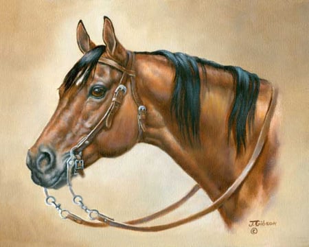 By Judy Gibson - painting, art, horse, animal, judy gibson