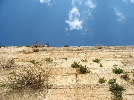 Kotel looking up - ancient stones, western wall, jerusalem western wall looking up, kotel