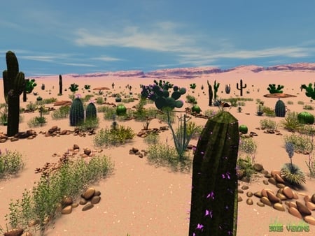 Desert View - arizona, cactus, sand, desert