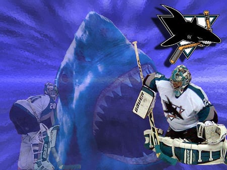 Shark Bite - nhl, goalie, nabokov, San Jose sharks, Sharks