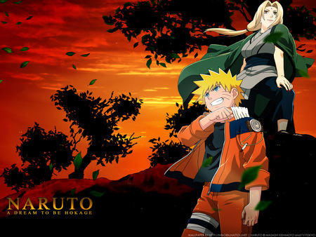 Untitled Wallpaper - tsunade, naruto, naruto and sunade