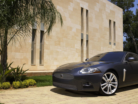 Untitled Wallpaper - 2007, xkr