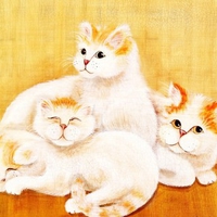 Three White Cozy Cats