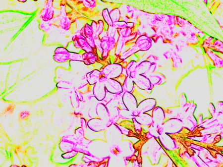 lilacs - sketch, lavender, purple, green, lilac, pastel