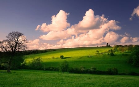 Sky Blue Pink - white, nature, sky, pink, clouds, green grass, blue, field