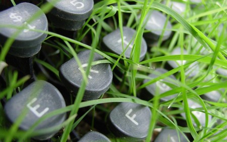 Old School - abstract, typewriter keys, photography, funny, grass