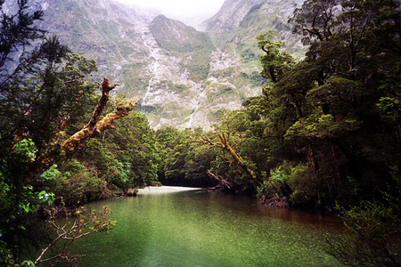 new zealand paradise - mountain, snow