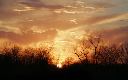 The Sunset !!! - sun, sunset, black, widescreen, nature, dark, wds, golden, tree