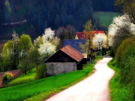 noname - village, forest, road