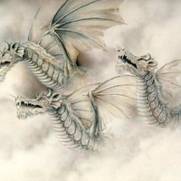  dragons in fog