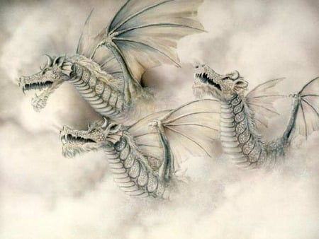  dragons in fog - fantasy, awesome, cool, dragon